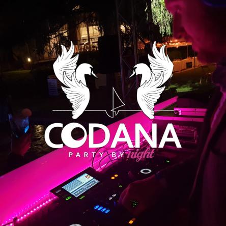 Codana Party by night