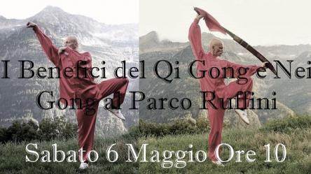 Qi Gong Nei Gong Torino