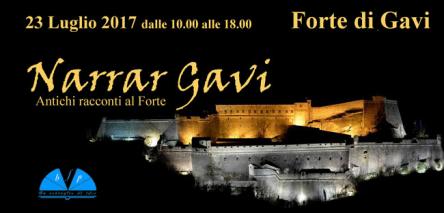 Narrar Gavi