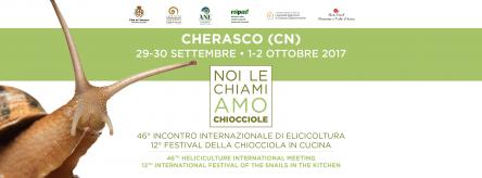 NOI LE CHIAMIAMO CHIOCCIOLE