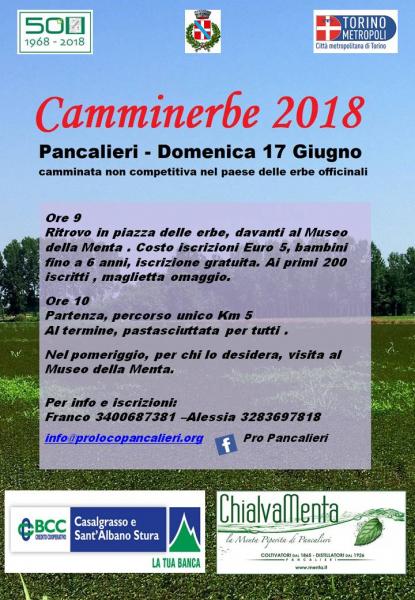 Camminerbe