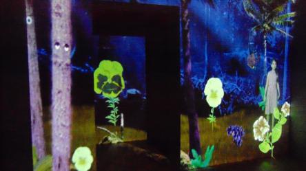 Vox Horti: racconti e visioni nella casa magica del Museo Meina