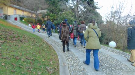 GITA FUORI PORTA CON LA NATURA IN 4D SUL LAGO MAGGIORE