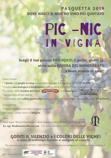PicNic in Vigna a Cocconato