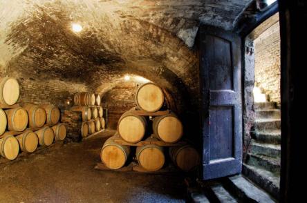 Langhe, Roero e Monferrato: Porte Aperte in Cantine