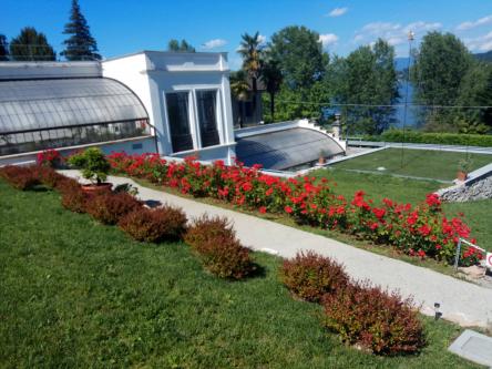 ESTATE DA FAVOLA: LA NATURA “DIGITALE”  AL MUSEO MEINA SUL LAGO MAGGIORE