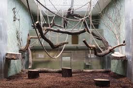 Mostra Tommaso Bonaventura