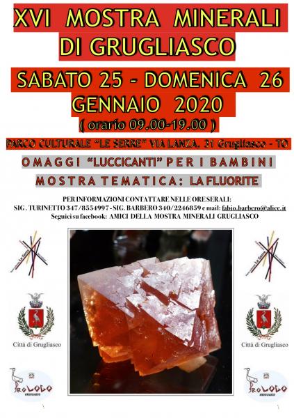 XVI MOSTRA MINERALI DI GRUGLIASCO