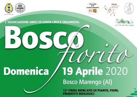 Bosco Fiorito