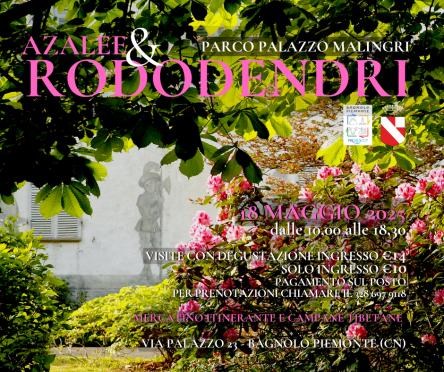 AZALEE&RODODENDRI