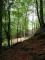 MUSICA NEL BOSCO 2012 A GROSCAVALLO (TO) TERZA EDIZIONE