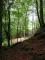 Musica nel Bosco a Groscavallo 8° Edizione