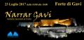 Narrar Gavi