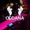 Codana Party by night