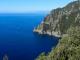 Le mimose del Parco di Portofino